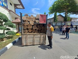 3 Pembalak Liar Ditangkap di Wonogiri, Hendak Jual Sonokeling ke AS-Jepang