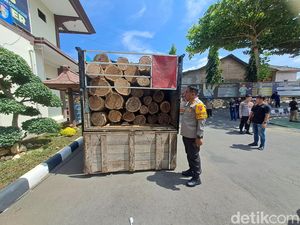 3 Pembalak Liar Ditangkap di Wonogiri, Hendak Jual Sonokeling ke AS-Jepang 3 Pembalak Liar Ditangkap di Wonogiri, Hendak Jual Sonokeling ke AS-Jepang