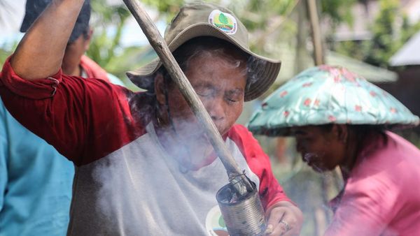 Inspirasi dari Theti, Mengolah Lahan Gambut Tanpa Membakar