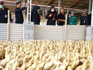 Apresiasi Bupati Ipuk untuk Kampung Bebek yang Produksinya Berkelanjutan