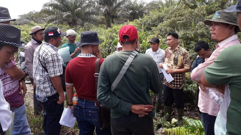 KLHK Menangkan Gugatan Atas PT KA yang Sebabkan Karhutla Seluas 1.000 Ha