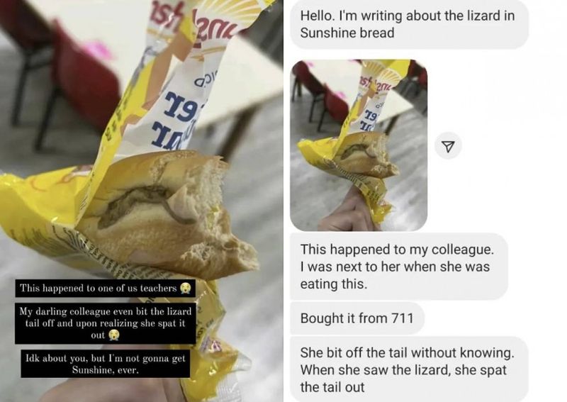 Makan Roti Kemasan, Wanita Ini Temukan Bangkai Cicak di Dalam Rotinya