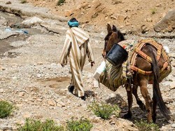 Kisah Uzair yang Dimatikan dan Dihidupkan Kembali Setelah 100 Tahun