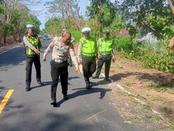 Berhenti di Tengah Jalan, Warga Buleleng Tewas Ditabrak Pikap dari Belakang