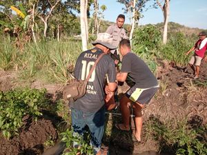 2 Lansia di Bantul Diserang Tawon, Kena Sengat di Seluruh Tubuh 2 Lansia di Bantul Diserang Tawon, Kena Sengat di Seluruh Tubuh