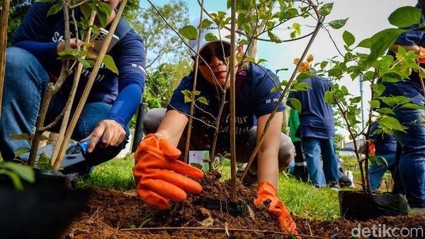 Tanam Pohon Digencarkan Demi Tekan Polusi Jakarta