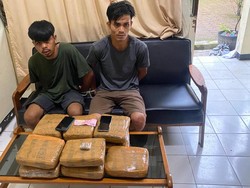 Polisi Gagalkan Pengiriman 11,3 Kg Ganja yang Dikendalikan Napi di Sumbar