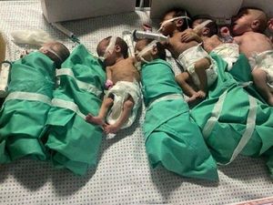 Bagaimana 36 Bayi Prematur Bertahan Hidup di RS Al-Shifa Gaza?