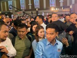 TKN Ungkap Sumut Jadi Kunci Kemenangan Prabowo-Gibran