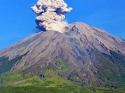 Gunung Semeru Erupsi, Letusannya Capai 1.000 Meter di Atas Puncak