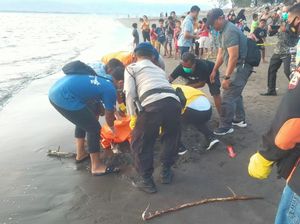 Geger Mayat Tanpa Identitas Membusuk di Pantai Gilimanuk