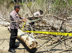 Geger Warga Kolaka Temukan Kerangka Manusia di Muara Sungai, Polisi Selidiki