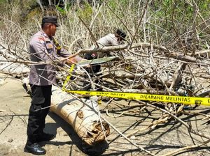Geger Warga Kolaka Temukan Kerangka Manusia di Muara Sungai, Polisi Selidiki Geger Warga Kolaka Temukan Kerangka Manusia di Muara Sungai, Polisi Selidiki