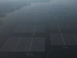 Ini Dia PLTS ke-3 Terbesar Dunia yang Dipamerkan Jokowi