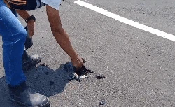 Proyek Jalan Rp 5 Miliar di Jalur Geopark Sukabumi Bisa Dikupas Pakai Tangan