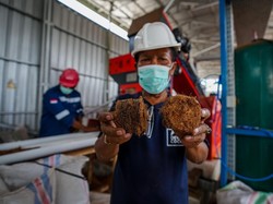 Sabut Kelapa Disulap Jadi Bahan Bakar Biomassa, Ini Caranya