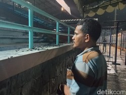 Ribuan Jangkrik Serbu Stadion Surajaya Lamongan usai Hujan Deras
