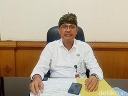 Satpol PP Copot Ratusan APK di Jalanan Protokol Denpasar