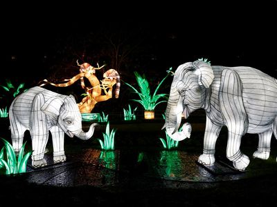 Melihat Binatang Hutan dalam Bentuk Lentera di Festival Cahaya Paris