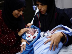 Momen Haru Bayi-bayi Prematur di Gaza Kembali ke Pelukan Ortu