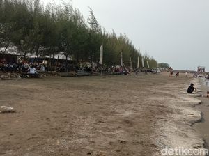 Pesona Laut dan Pohon Cemara yang di Balongan Indramayu Pesona Laut dan Pohon Cemara yang di Balongan Indramayu