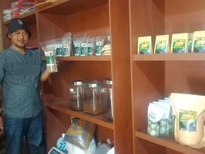 Cerita Petani Kopi-Akar Wangi Dibantu BRI Bikin Greenhouse & Coffee Shop