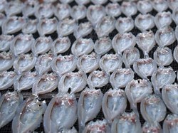 Pundang Seluang, Oleh-oleh Khas Sekayu Muba yang Melegenda