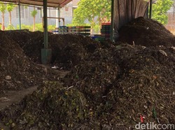 Warga Surabaya Bisa Dapatkan Kompos Gratis, Begini Caranya
