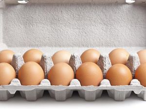 Kuning Telur Warnanya Pucat? Ini Arti di Baliknya