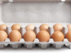 Kuning Telur Warnanya Pucat? Ini Arti di Baliknya