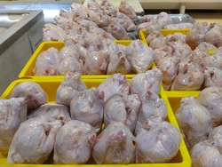 Harga Ayam Naik tapi Masih di Bawah Harga Acuan Pemerintah