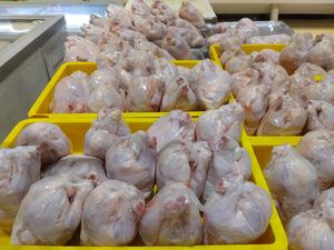 Harga Ayam Naik tapi Masih di Bawah Harga Acuan Pemerintah Harga Ayam Naik tapi Masih di Bawah Harga Acuan Pemerintah