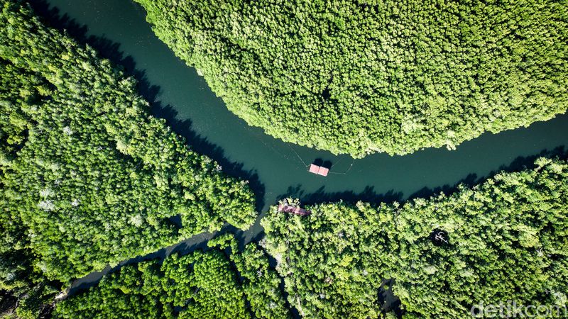 Desa Palaes Bersolek, Sukses Kembangkan Pariwisata dalam 3 Tahun!
