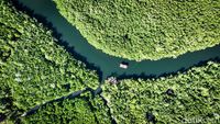 Desa Palaes Punya Wisata Unggulan Mangrove, Nih Lihat