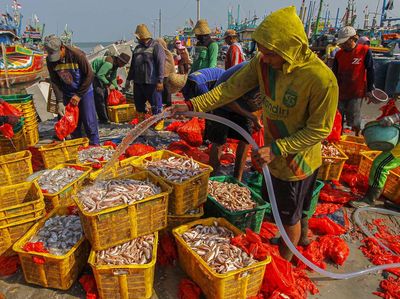 Hasil Tangkapan Nelayan Meningkat di Tuban