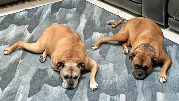 Deretan Potret Kebetulan Dengan Timing yang Tepat