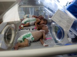 Kondisi 31 Bayi Prematur yang Dievakuasi dari RS Al-Shifa ke RS di Rafah