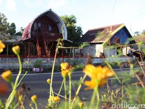 Potret Desa Palaes, Sukses Kembangkan Wisata dalam 3 Tahun Potret Desa Palaes, Sukses Kembangkan Wisata dalam 3 Tahun
