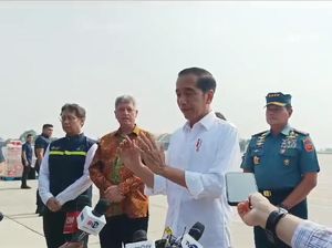 Jokowi Pastikan Investor Dalam Negeri Prioritas di IKN