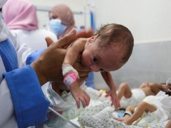 RS Al-Shifa Zona Kematian, Puluhan Bayi Prematur Dievakuasi