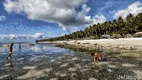 Tradisi Unik Tnyafar di Pulau Selaru