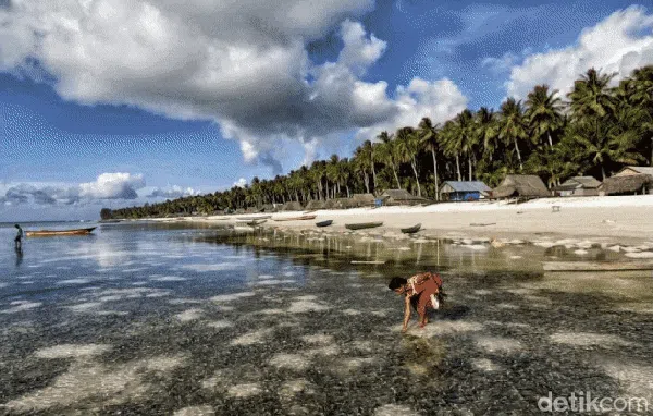 Tradisi Unik Tnyafar di Pulau Selaru