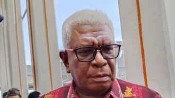 Karhutla Landa Papua, Bupati Mimika Butuh Bantuan