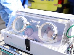 31 Bayi Prematur Sudah Ditangani Tim Medis di Mesir