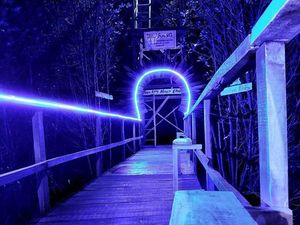 5 Rekomendasi Wisata Mangrove di Lombok, Cocok Dikunjungi Saat Weekend