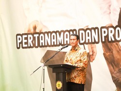 Tingkatkan Produksi Padi & Jagung, Mentan Dorong Pemanfaatan Lahan Rawa