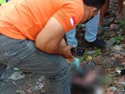 Miris! Mayat Bayi Hancur di Pinggir Jalan, Diduga Dibuang-Dilindas Kendaraan