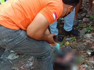 Miris! Mayat Bayi Hancur di Pinggir Jalan, Diduga Dibuang-Dilindas Kendaraan Miris! Mayat Bayi Hancur di Pinggir Jalan, Diduga Dibuang-Dilindas Kendaraan
