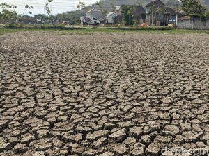 40 Desa di Trenggalek Masih Krisis Air Meski Hujan Turun