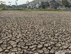40 Desa di Trenggalek Masih Krisis Air Meski Hujan Turun